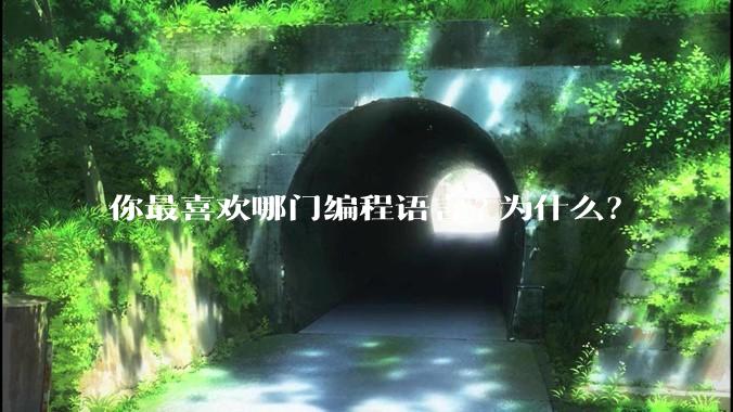 你最喜欢哪门编程语言?为什么？